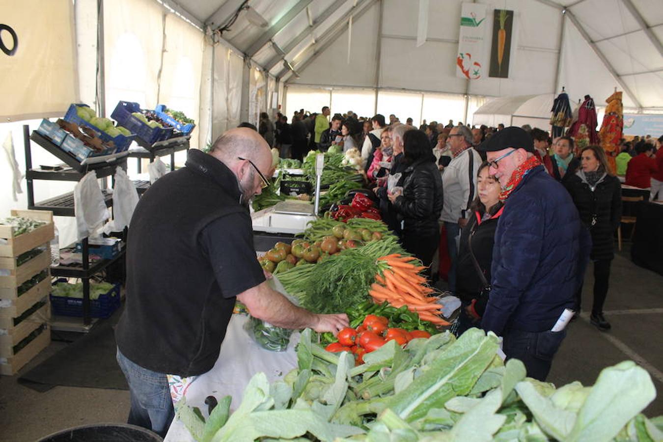 Esplendor verde en Calahorra