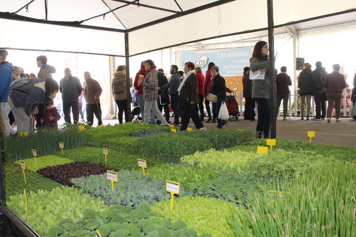 Esplendor verde en Calahorra