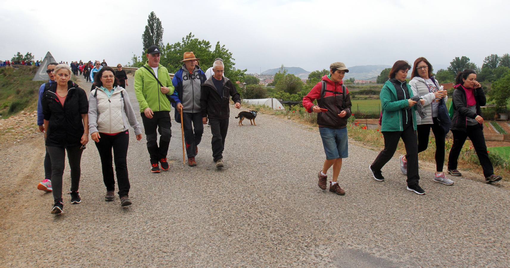 Paseo saludable en Logroño y Villamediana