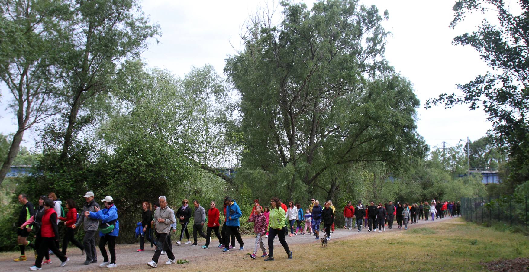 Paseo saludable en Logroño y Villamediana