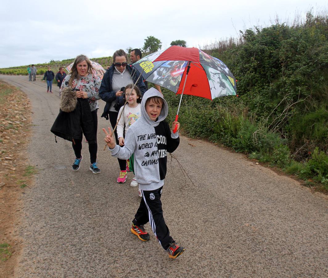 Paseo saludable en Logroño y Villamediana