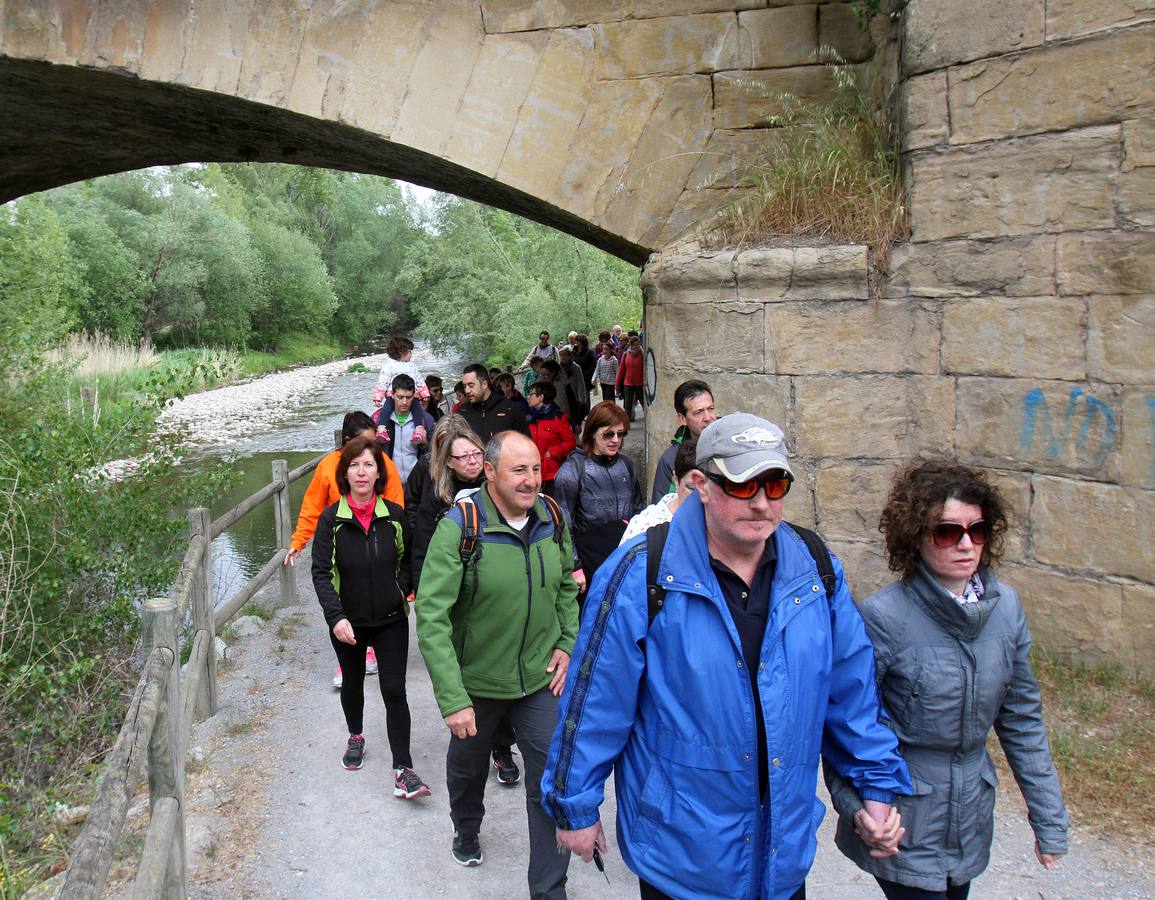 Paseo saludable en Logroño y Villamediana