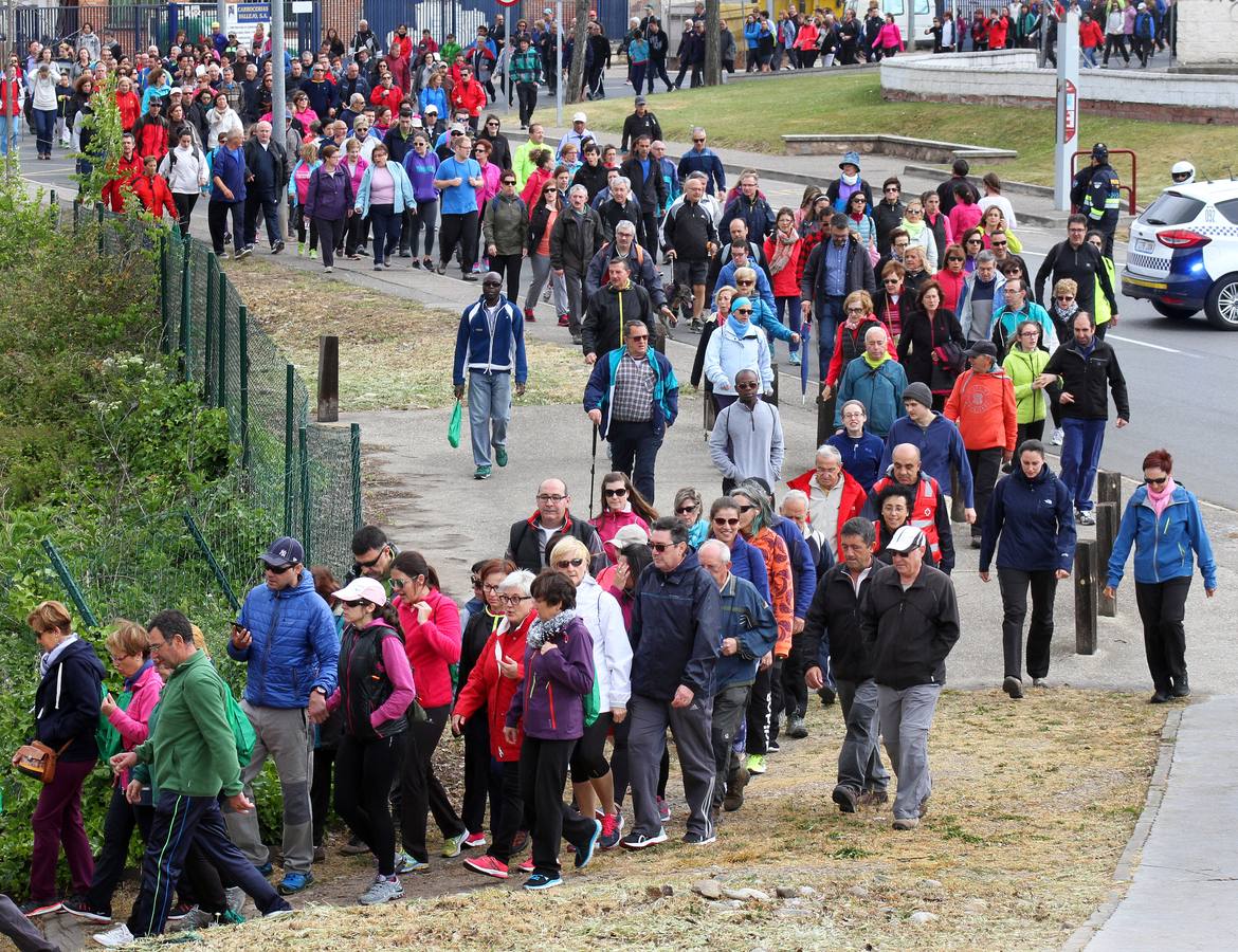 Paseo saludable en Logroño y Villamediana