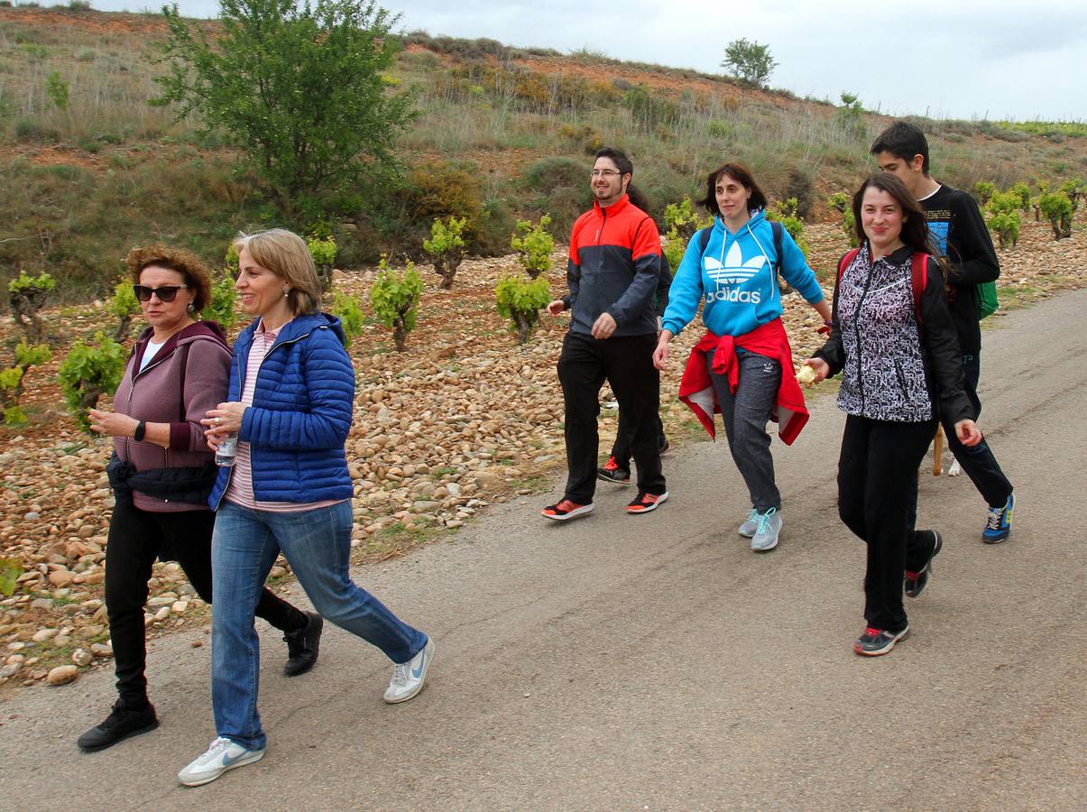 Paseo saludable en Logroño y Villamediana