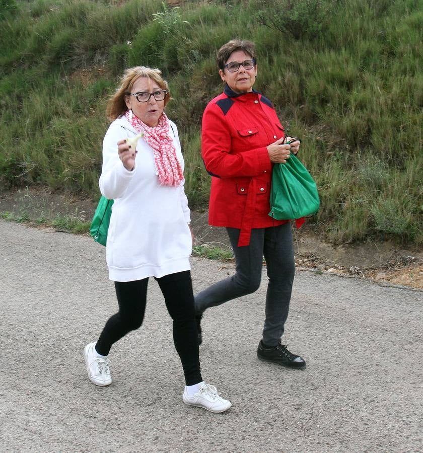 Paseo saludable en Logroño y Villamediana