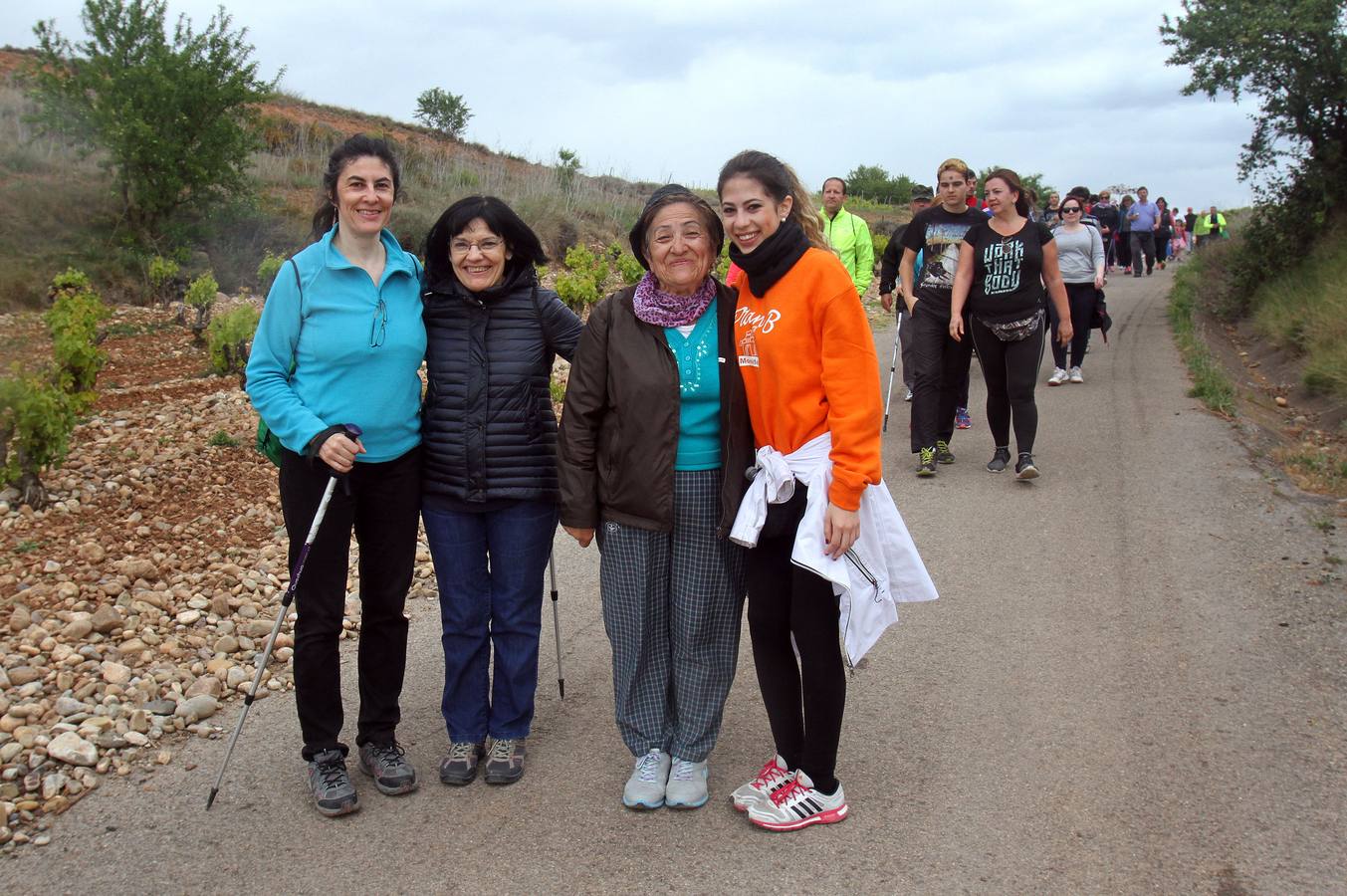 Paseo saludable en Logroño y Villamediana