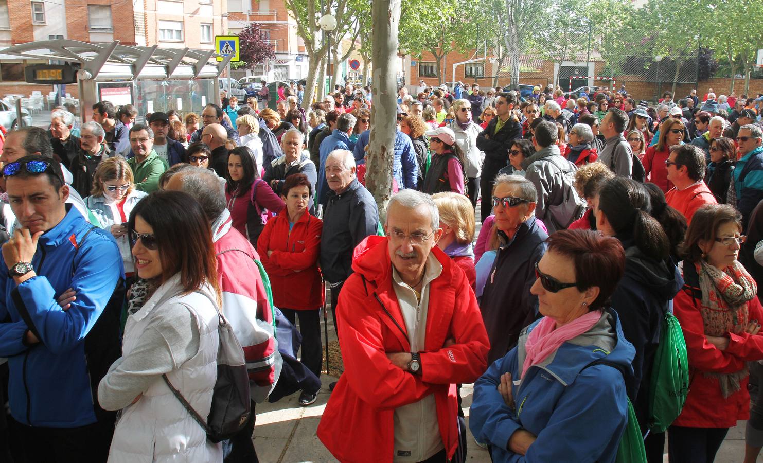 Paseo saludable en Logroño y Villamediana
