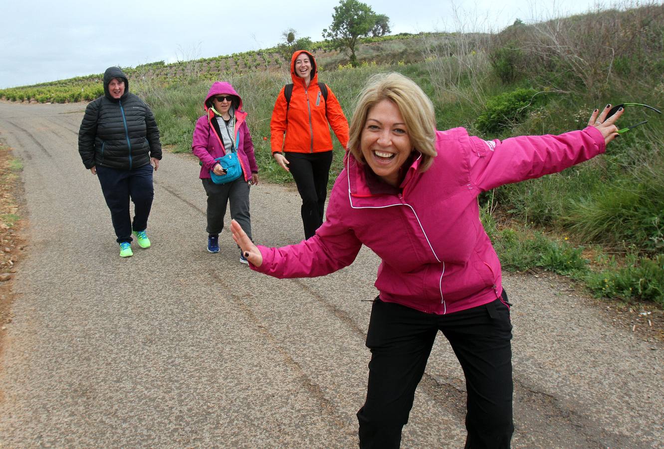 Paseo saludable en Logroño y Villamediana
