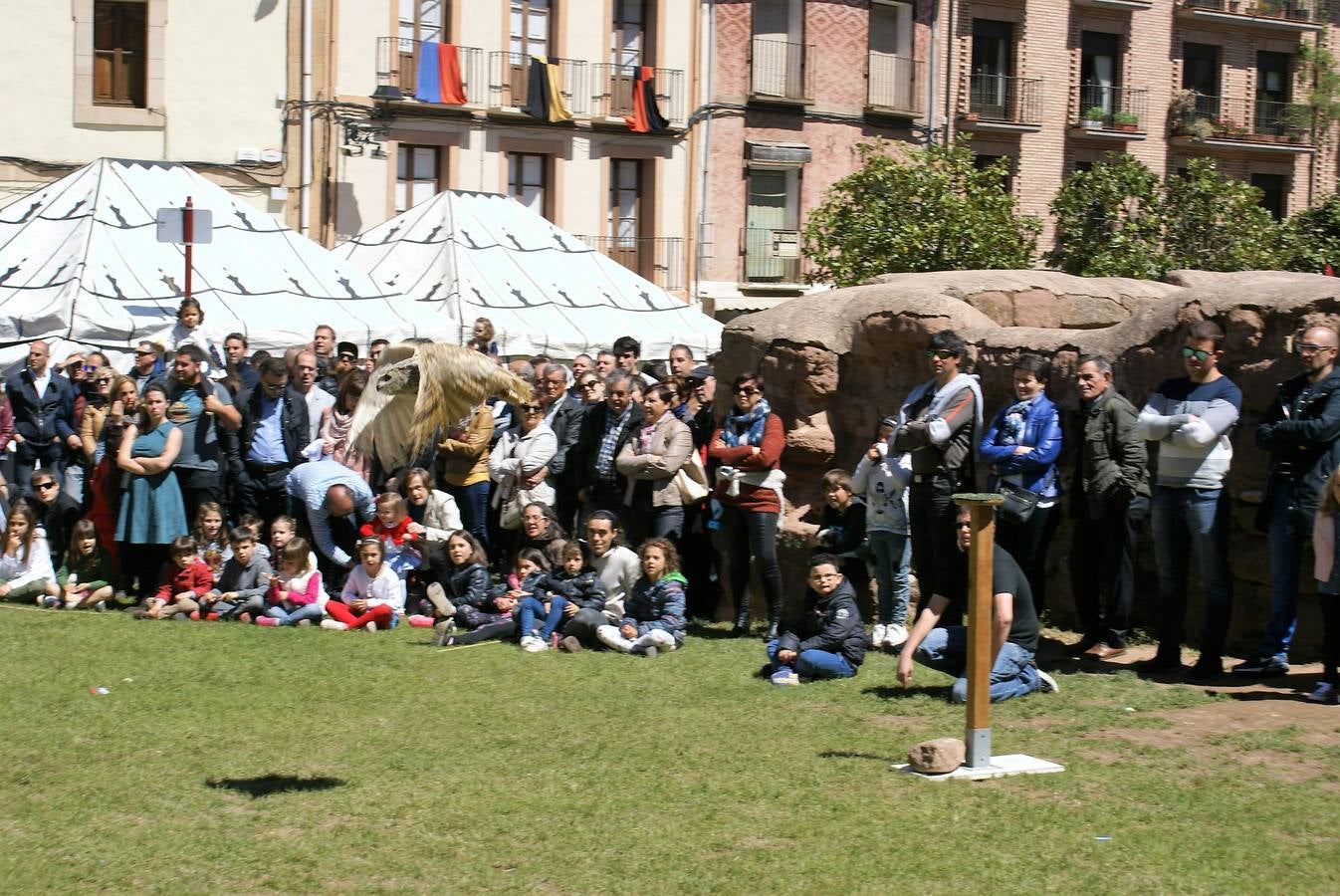 Aclamación de Fernando III en Nájera