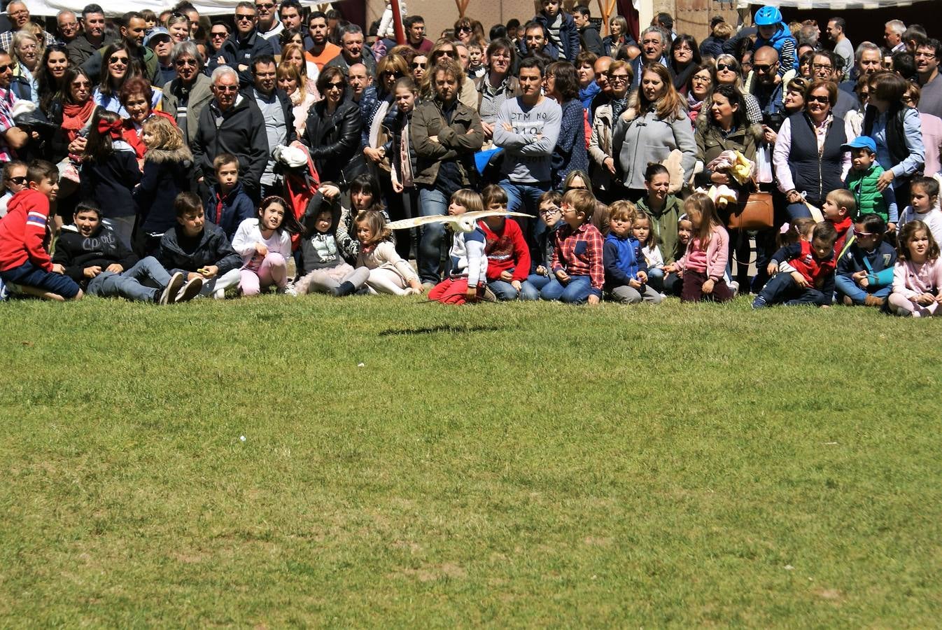 Aclamación de Fernando III en Nájera