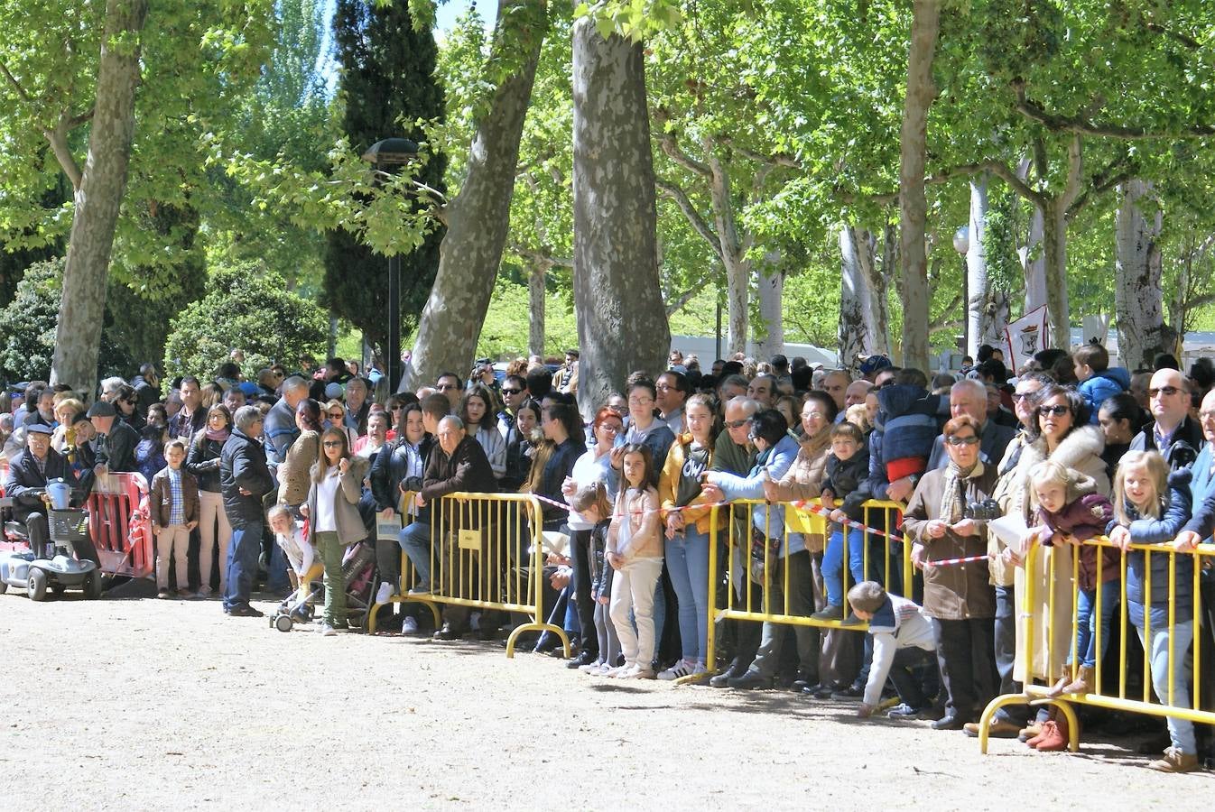 Aclamación de Fernando III en Nájera