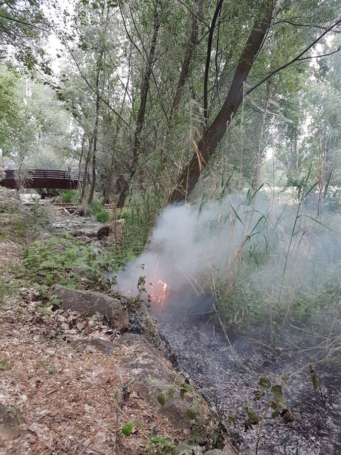 La actuación de los bomberos en el Parque del Iregua y el del Ebro para extinguir los incendios