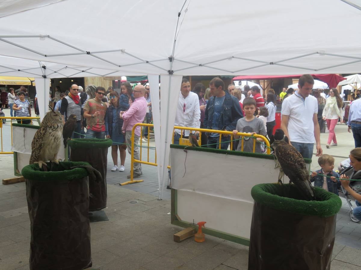 Fiestas en Alfaro: el sábado