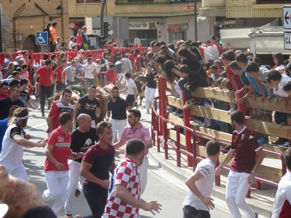 Fiestas en Alfaro: el sábado