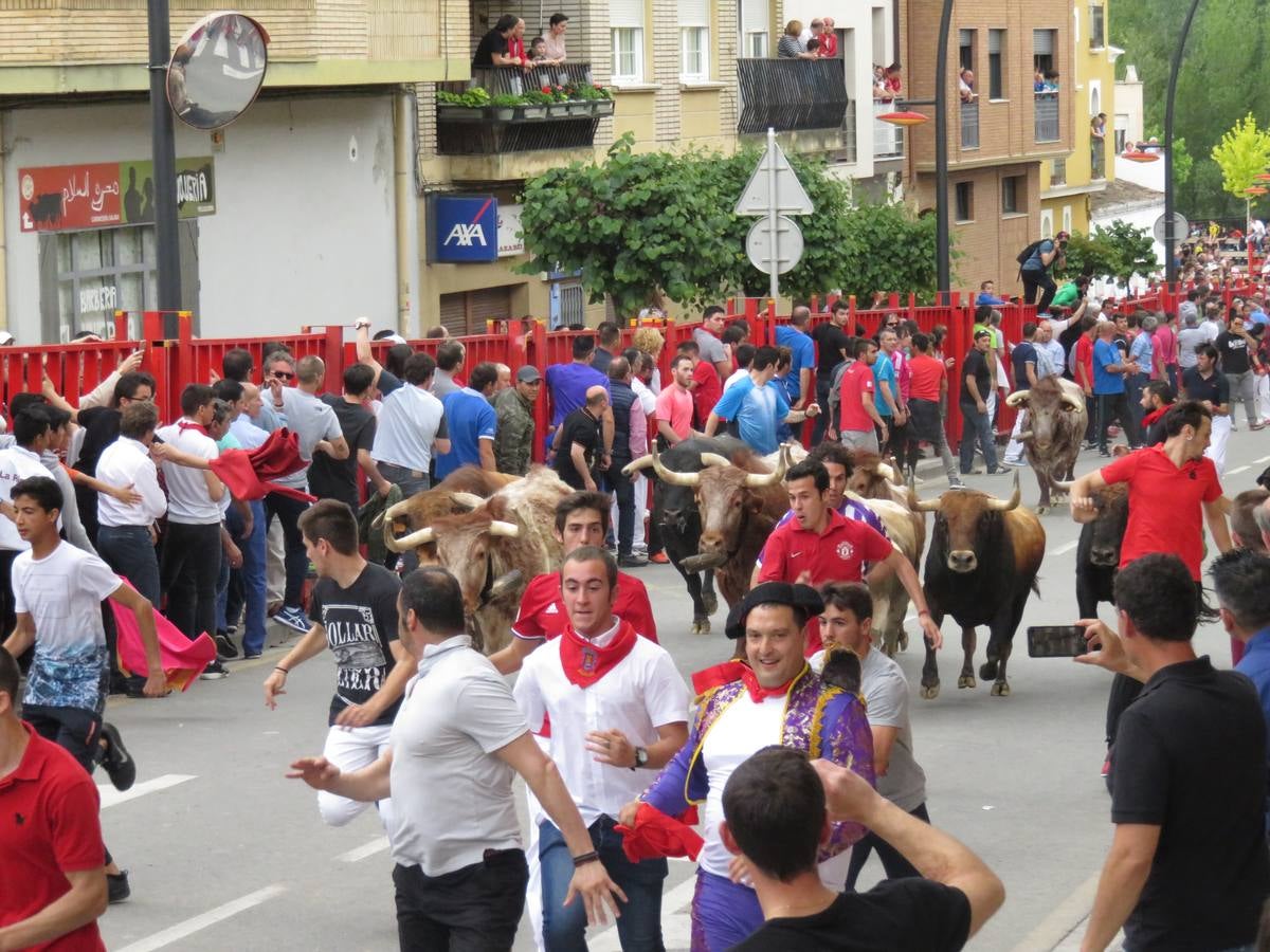 Fiestas en Alfaro: el sábado