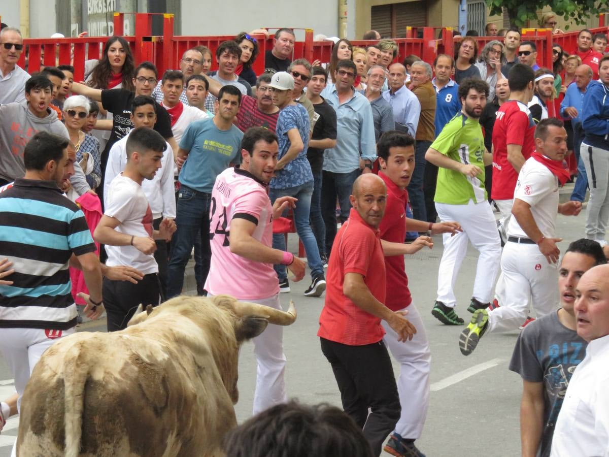 Fiestas en Alfaro: el sábado