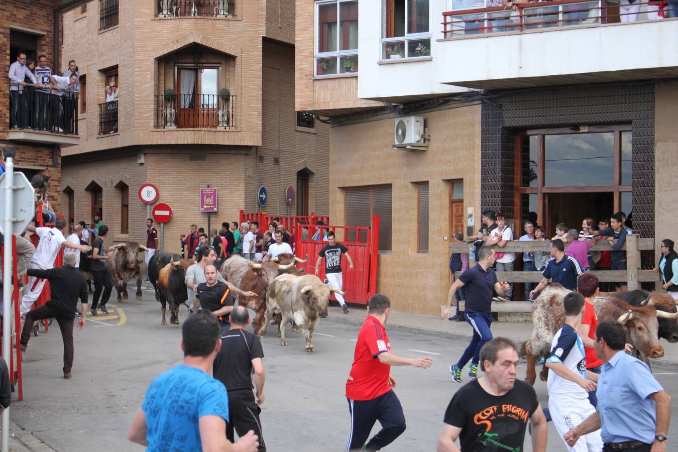 Fiestas en Alfaro: el sábado