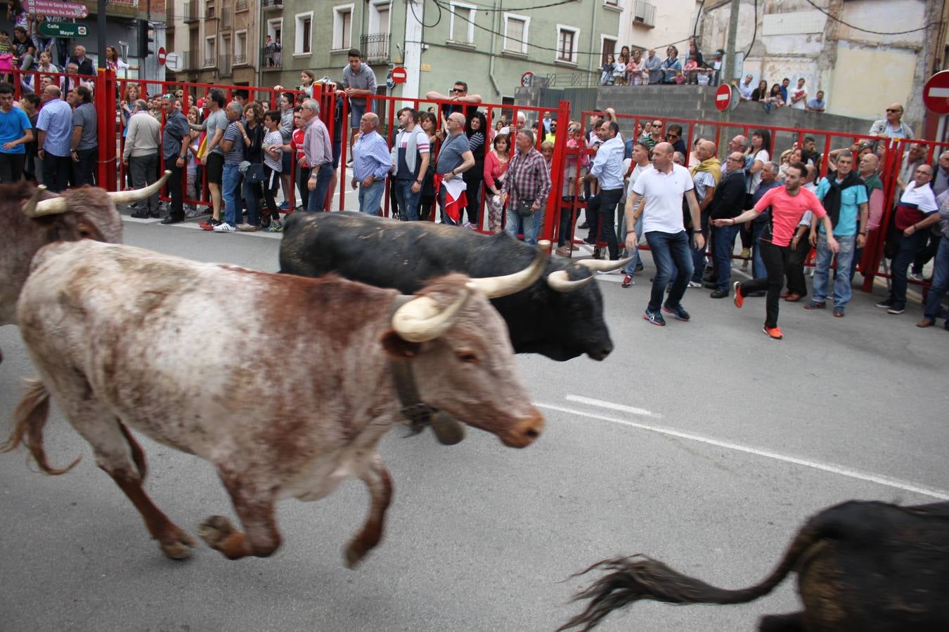 Fiestas en Alfaro: el sábado