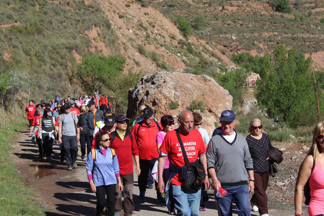 Marcha por la Via Verde en Calahorra