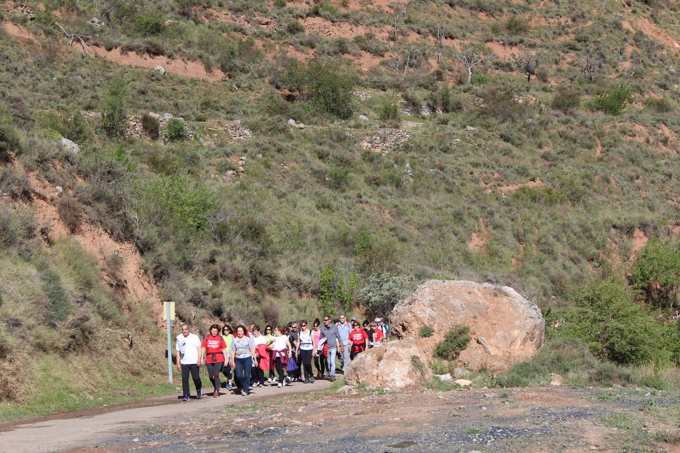 Marcha por la Via Verde en Calahorra