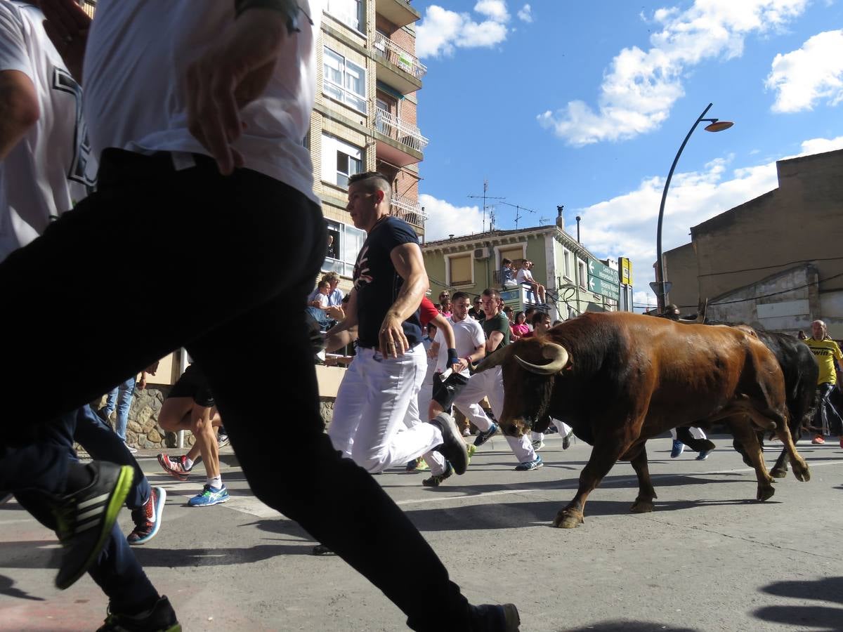 Fiestas de Alfaro: el domingo