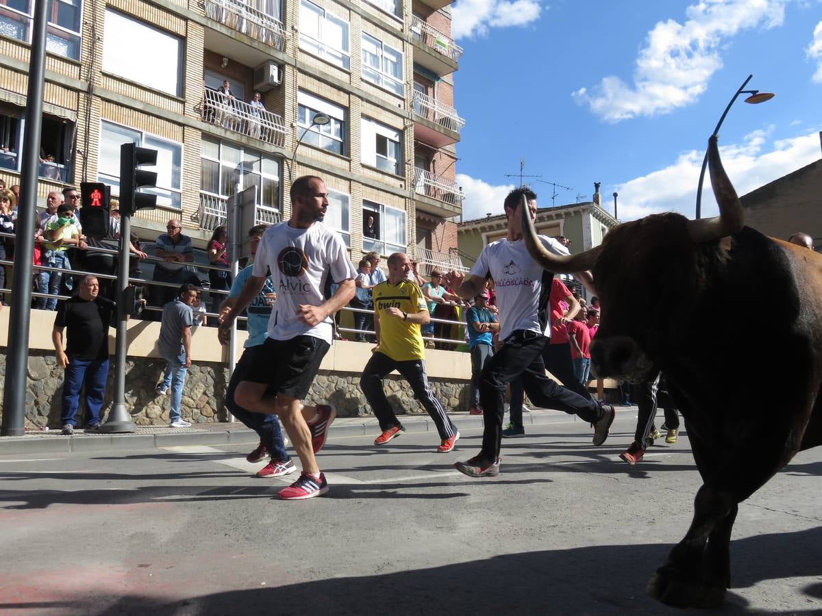 Fiestas de Alfaro: el domingo