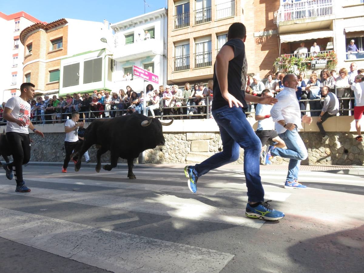 Fiestas de Alfaro: el domingo