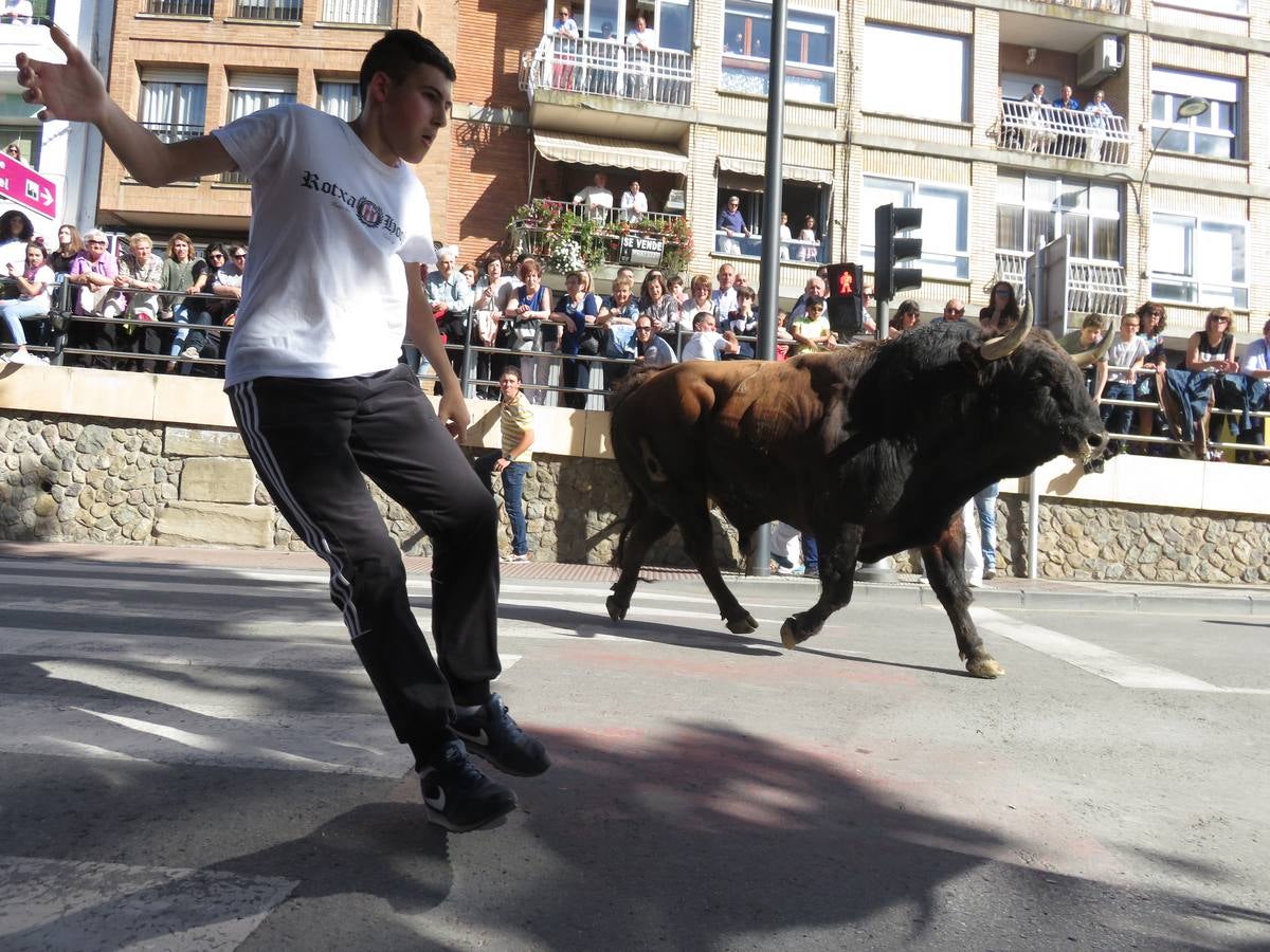 Fiestas de Alfaro: el domingo