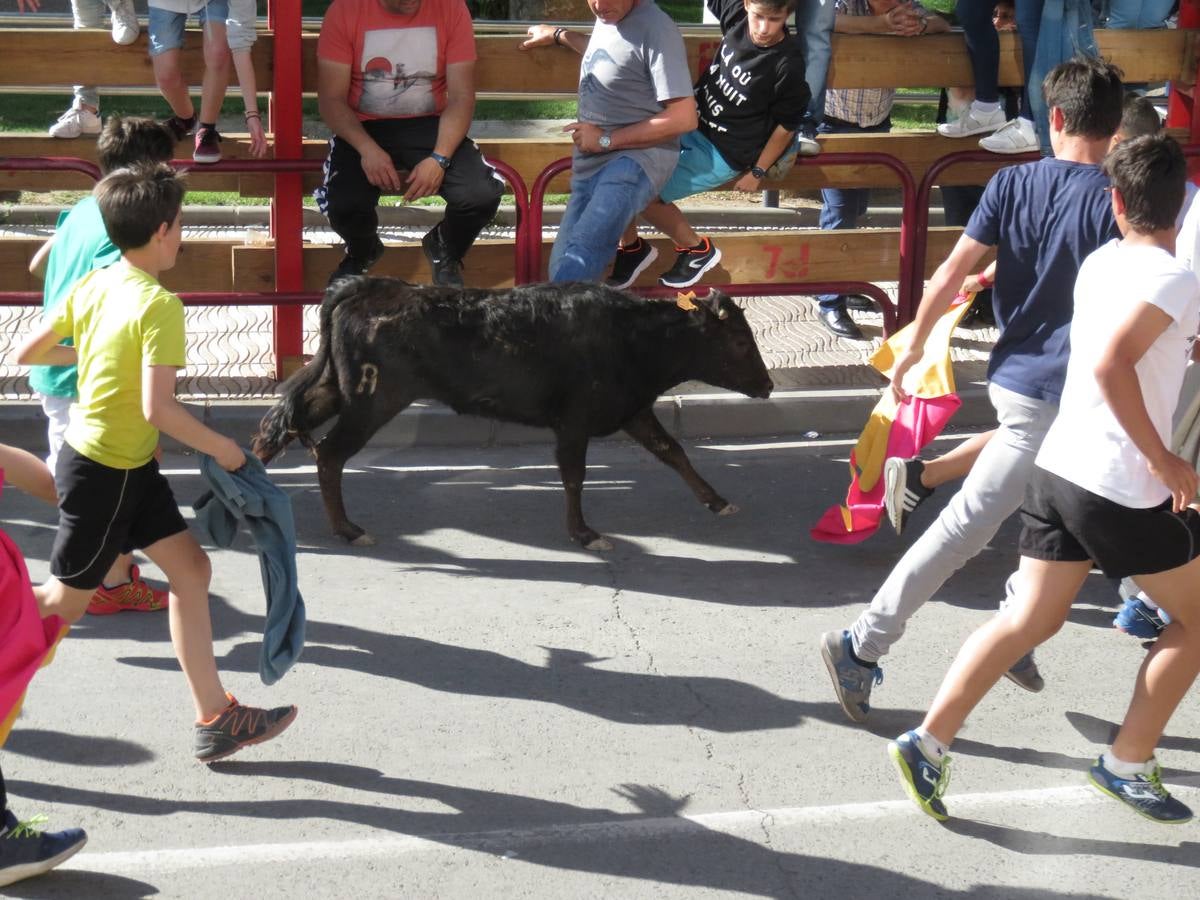 Fiestas de Alfaro: el domingo