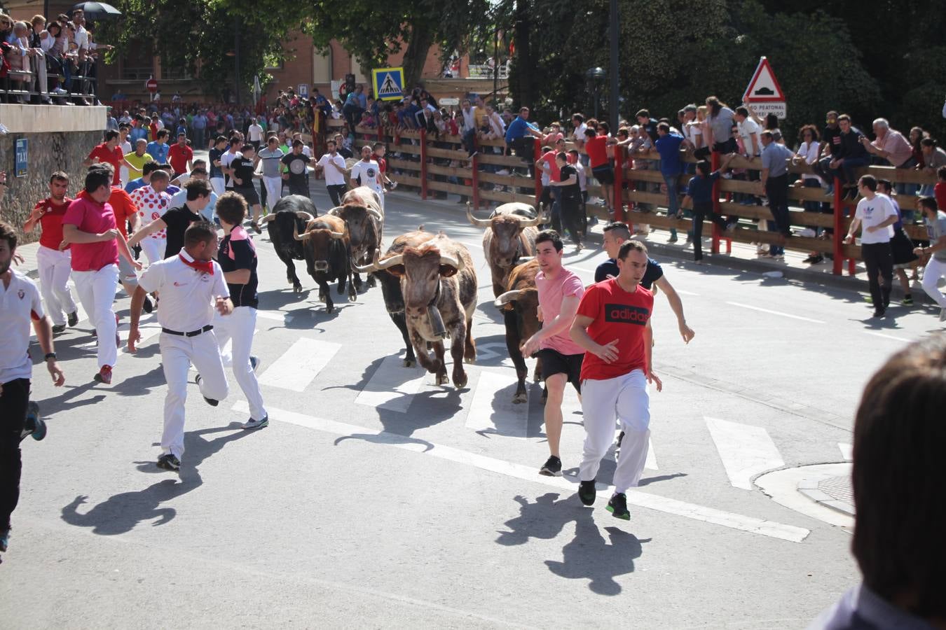 Fiestas de Alfaro: el domingo