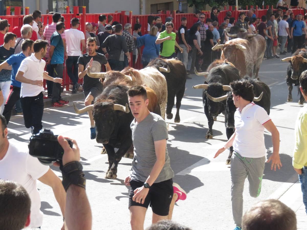 Fiestas de Alfaro: el domingo