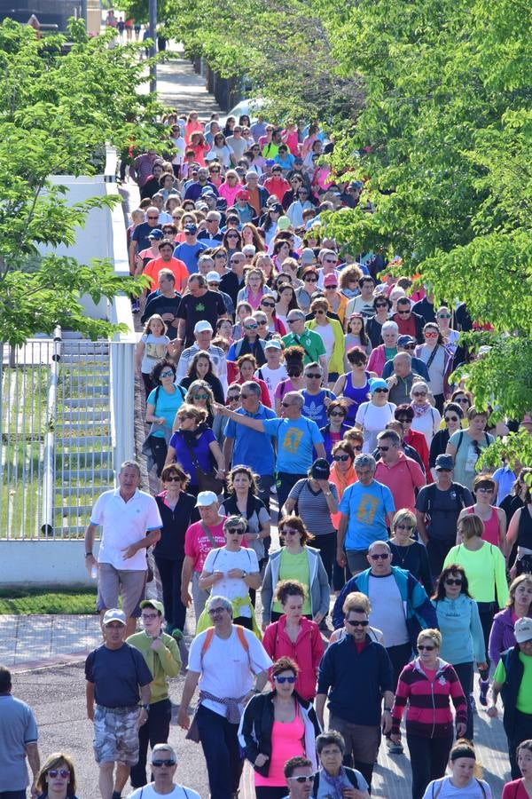 Más de mil personas en el tercer paseo saludable