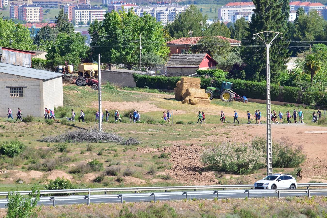 Más de mil personas en el tercer paseo saludable