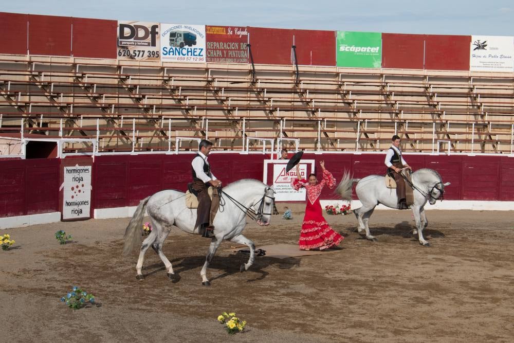 Santo Domingo pone fin a las fiestas