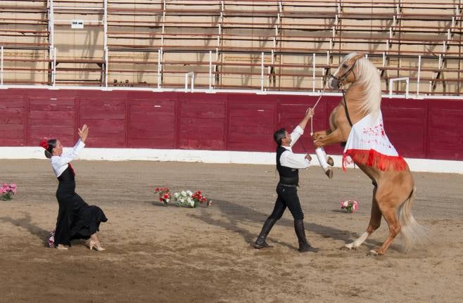 Santo Domingo pone fin a las fiestas