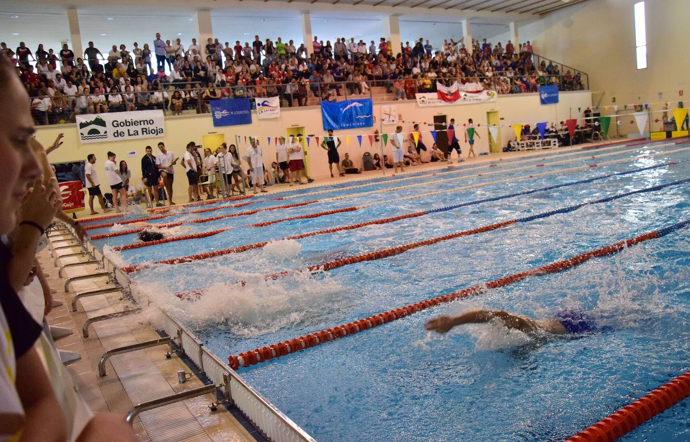 II Torneo Fiora Gran Premio Club Natación Logroño