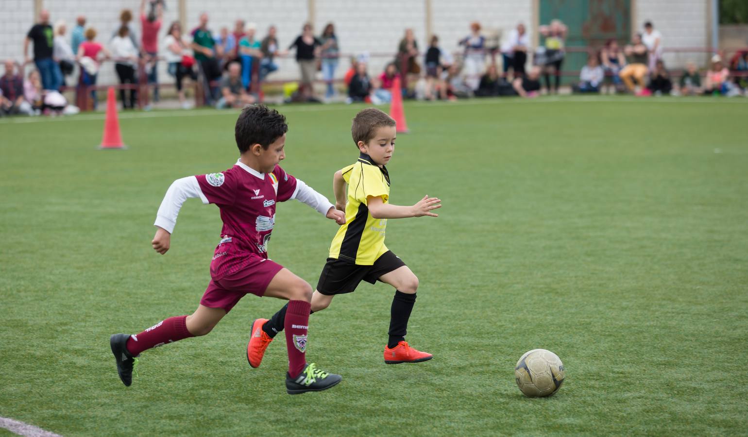 Torneo del EDF Logroño