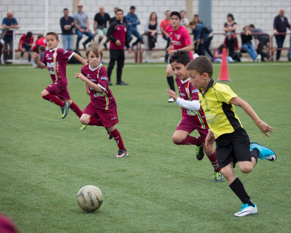 Torneo del EDF Logroño