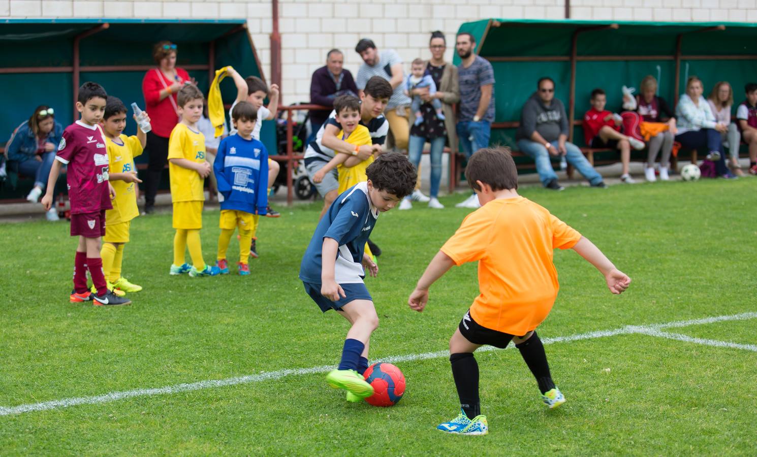 Torneo del EDF Logroño