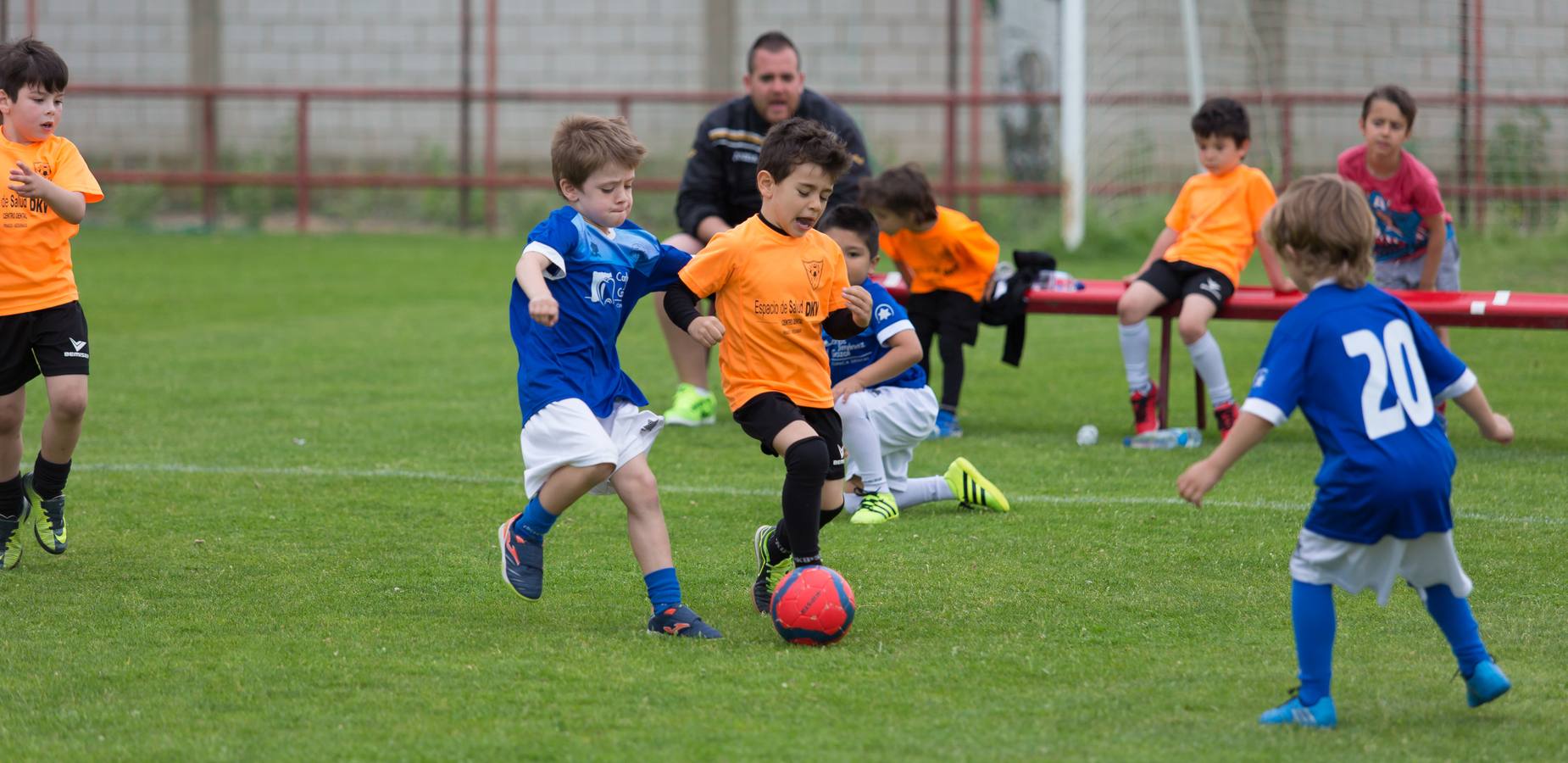 Torneo del EDF Logroño