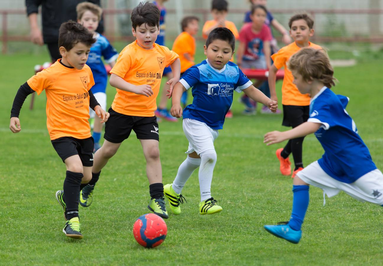 Torneo del EDF Logroño