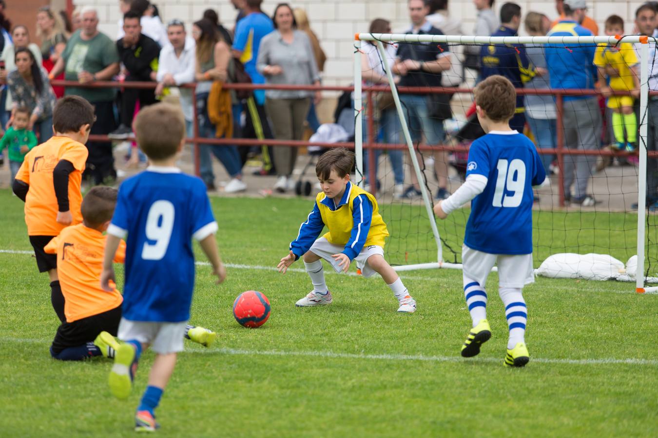 Torneo del EDF Logroño