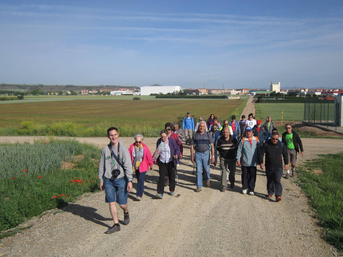 Romería a Gallinero de Rioja