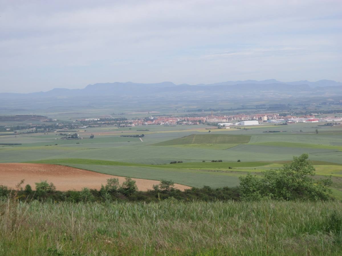 Romería a Gallinero de Rioja