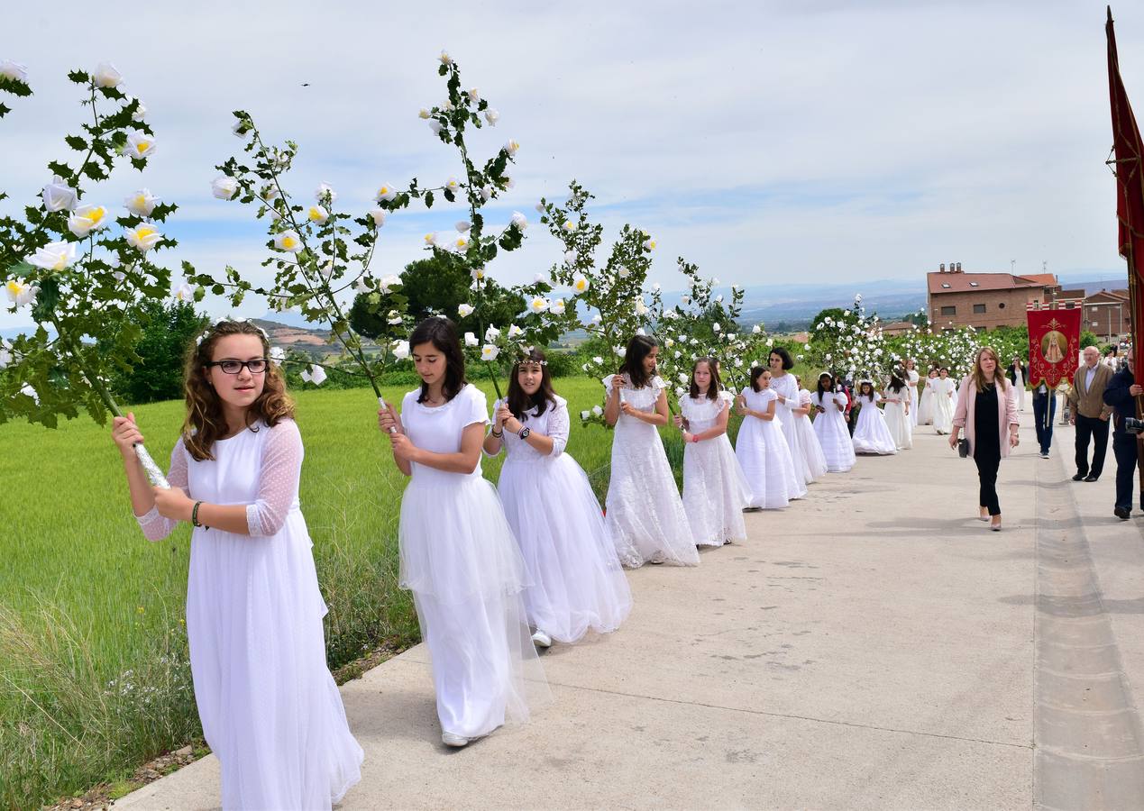 Procesión de las doncellas en Sorzano