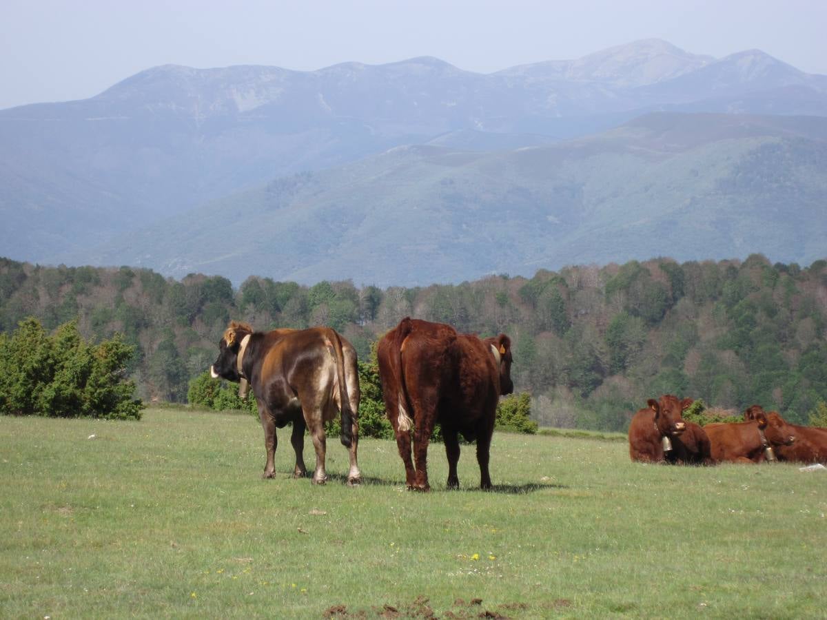 Travesía de Anguiano