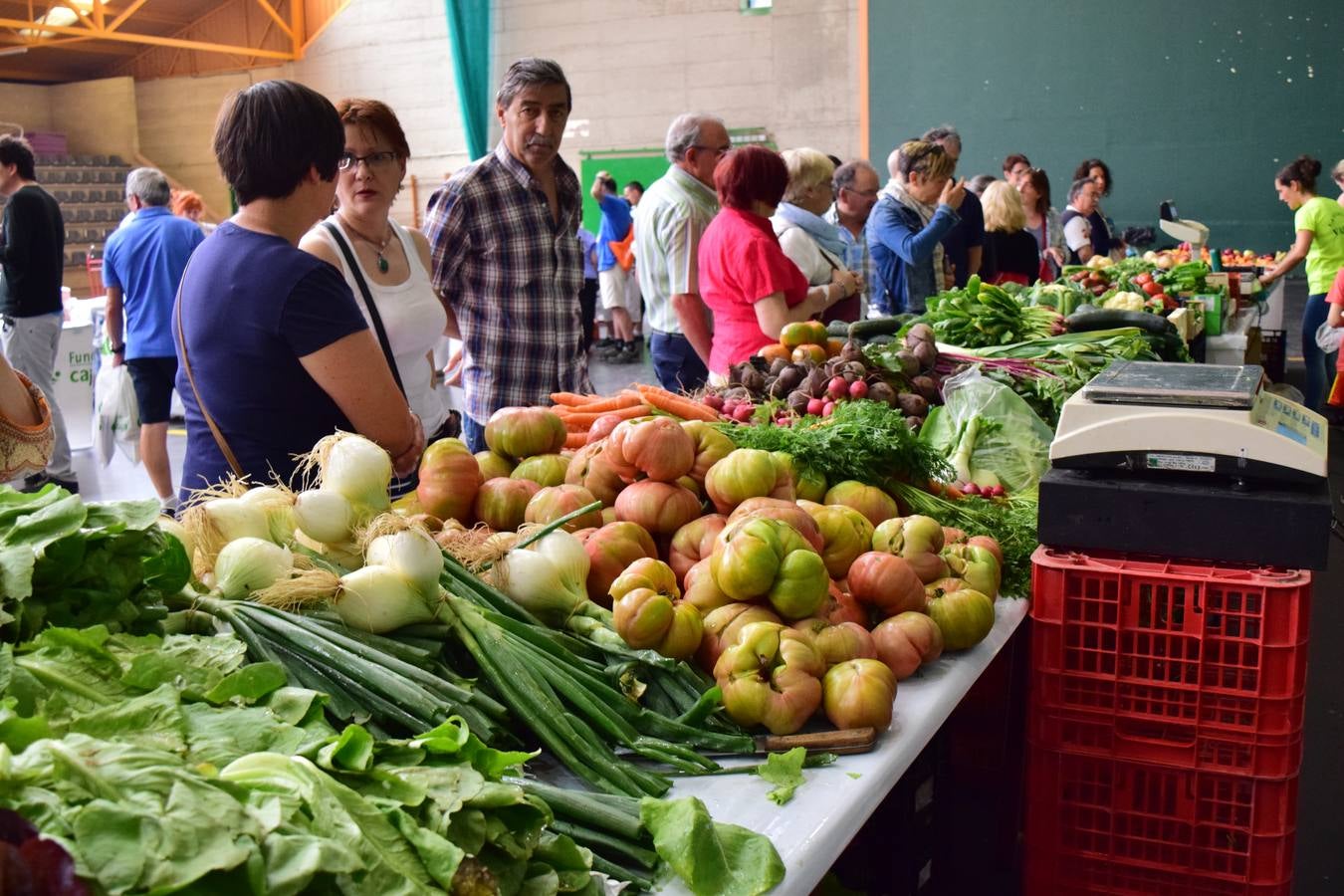 El Mercado de Varea (I)