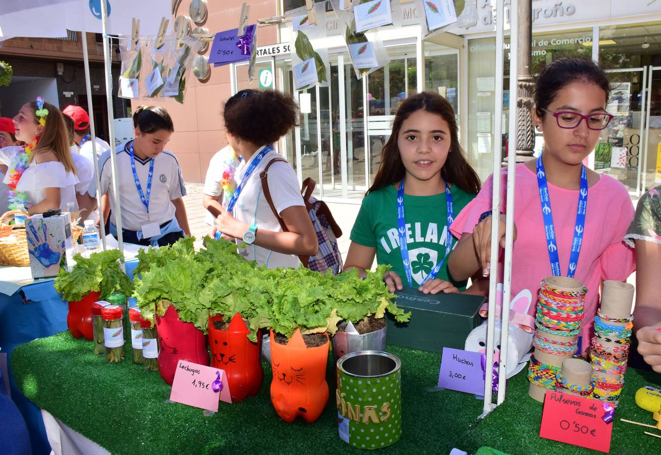 Mercado de cooperativas escolares