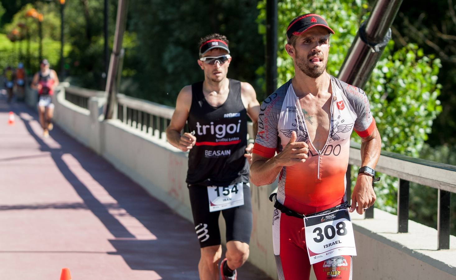 Triatlón de La Rioja (Carrera II)