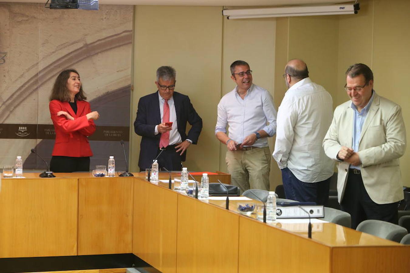 Comisión parlamentaria por los aparcamientos del San Pedro